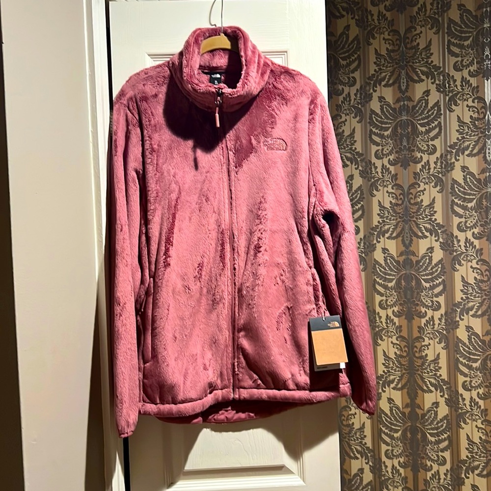The north face jacket